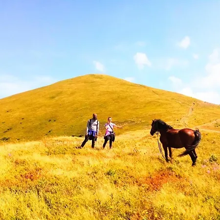 Family Guest house Sasovka (Transcarpathia)