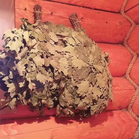 Family Guest house Sasovka (Transcarpathia)