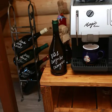 Family Guest house Sasovka (Transcarpathia)