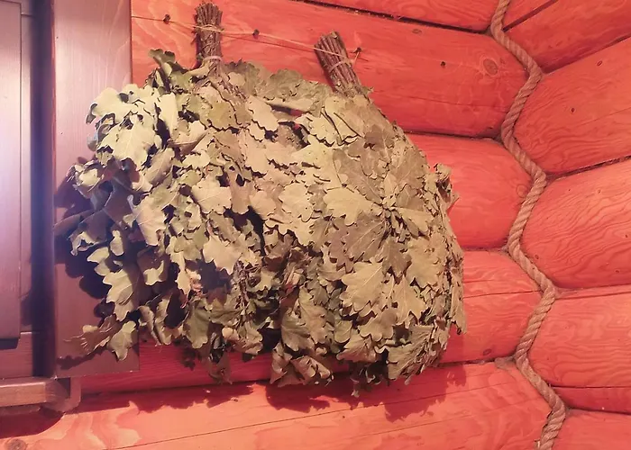 Family 招待所 Sasovka (Transcarpathia)