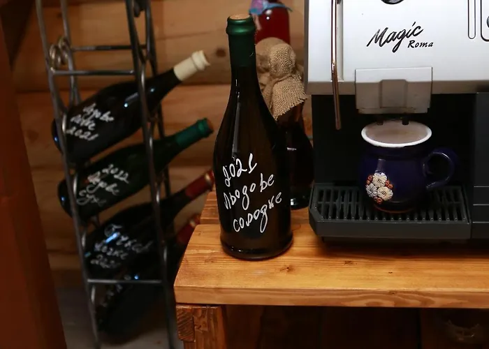 Family 招待所 Sasovka (Transcarpathia)